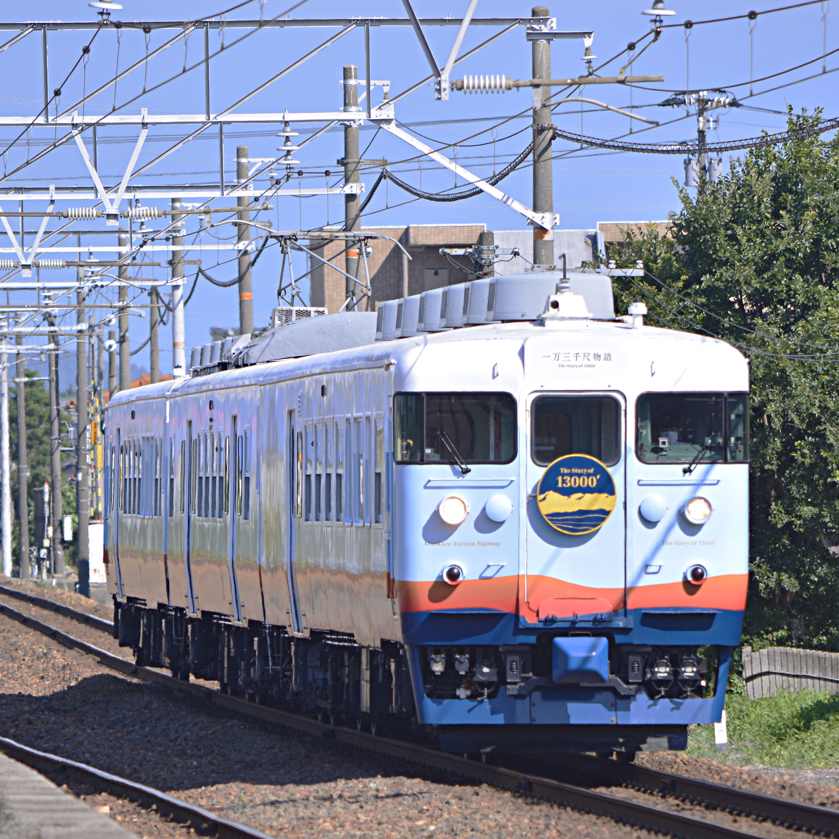 DSC0000ty.jpg
